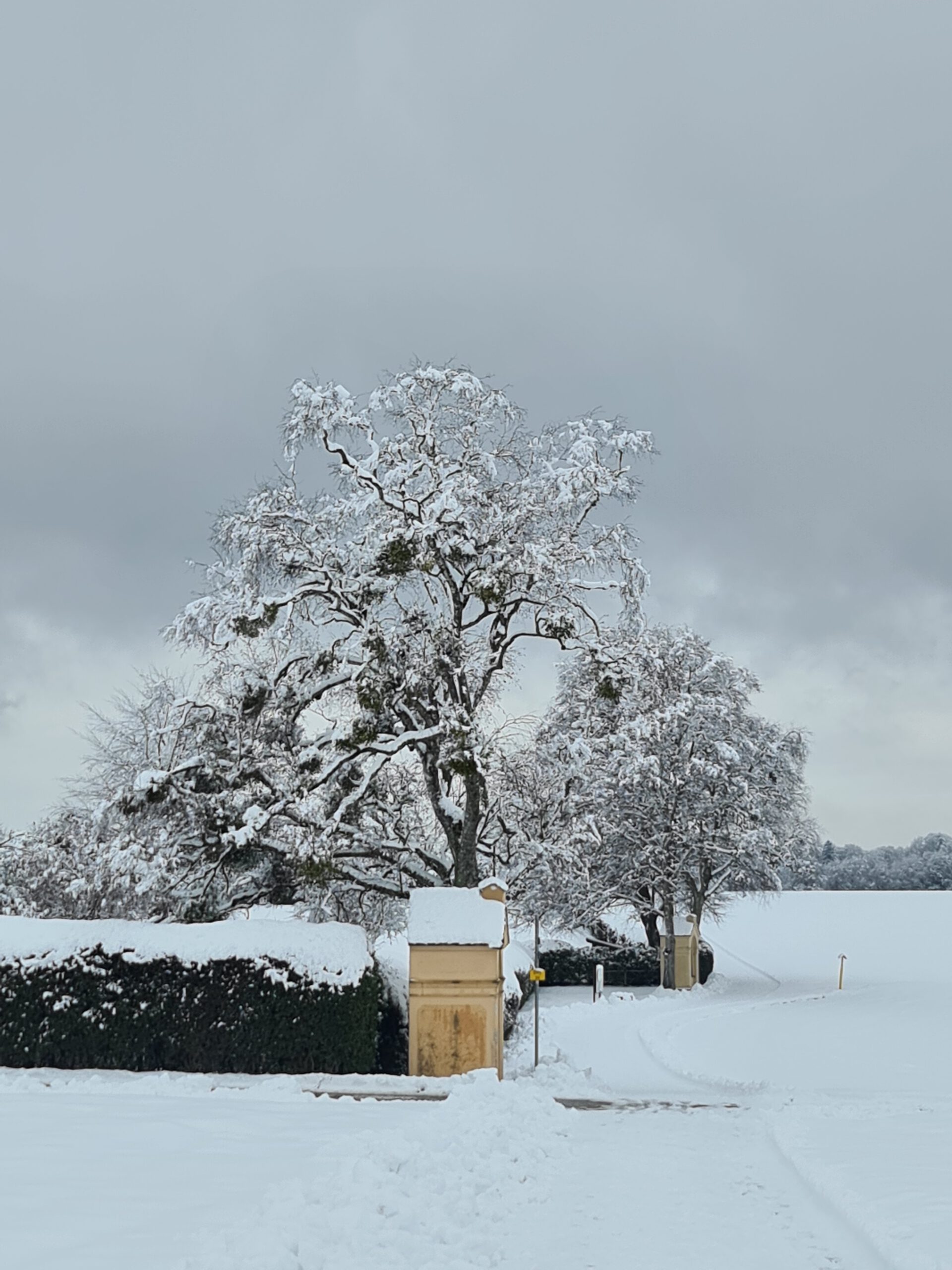 Read more about the article 2021 11 Winter in Andechs