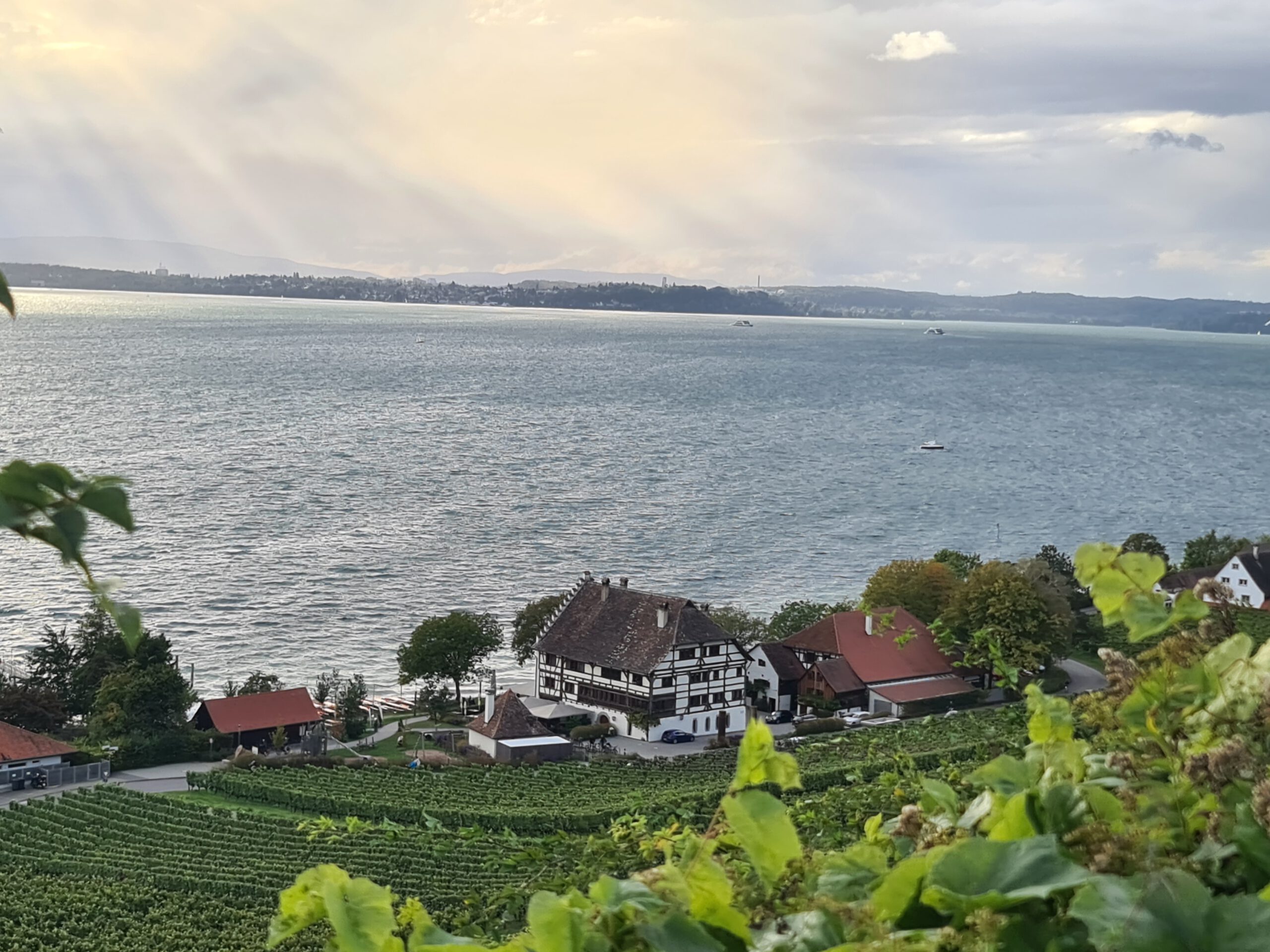 Read more about the article 2021 10 Bodensee